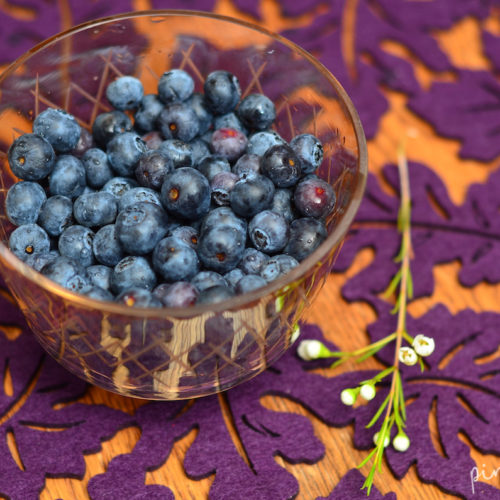Blueberries with a flower on the side