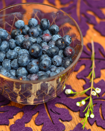 Blueberries in a Bowl with Yoplait Cherry Yogurt