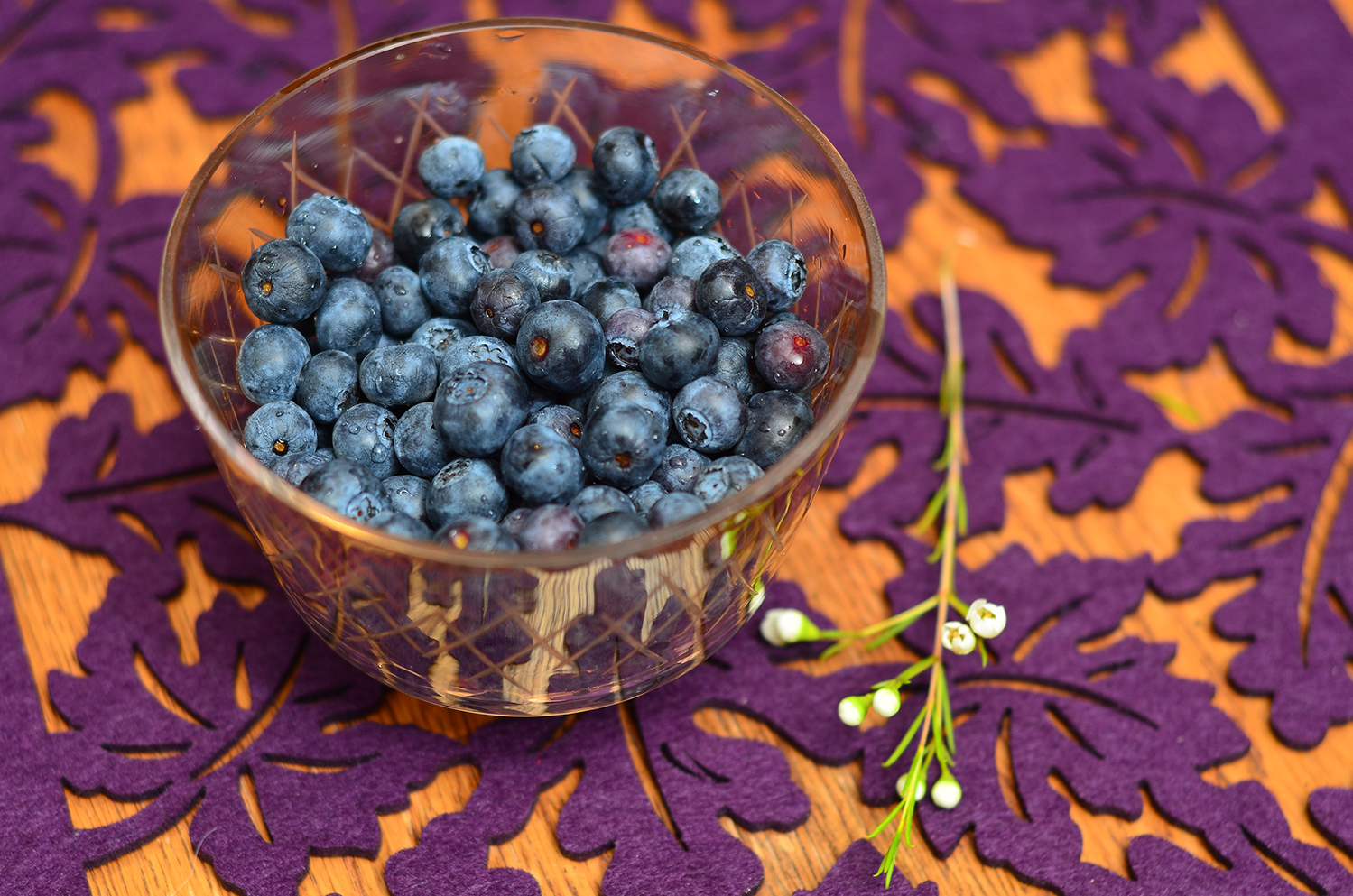 Blueberries in a Bowl with Yoplait Cherry Yogurt